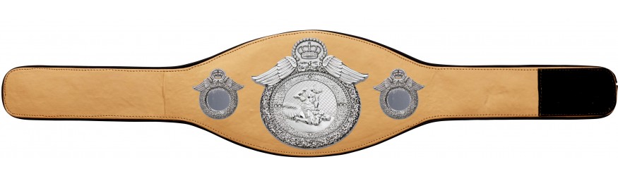MMA CHAMPIONSHIP BELT-PROWING/S/MMAS - AVAILABLE IN 6+ COLOURS
